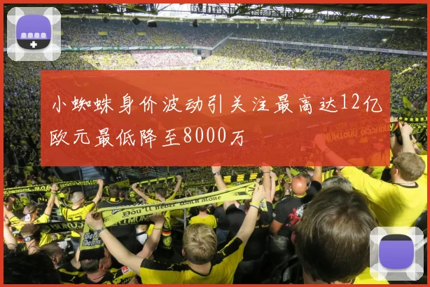 小蜘蛛身价波动引关注最高达12亿欧元最低降至8000万
