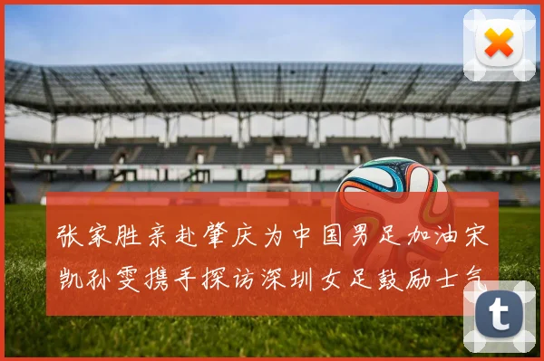 张家胜亲赴肇庆为中国男足加油宋凯孙雯携手探访深圳女足鼓励士气