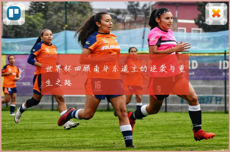 世界杯回顾南非东道主的逆袭与重生之路